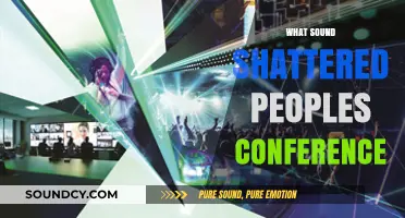 The Shocking Sound That Shattered a Conference: What Happened?