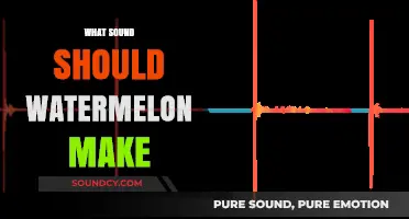 What Sound Should Watermelon Make? Exploring the Perfect Splat or Crunch