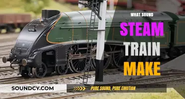 The Whistles, Chugs, and Hiss: Decoding Steam Train Sounds
