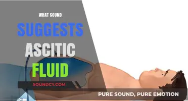 Ascitic Fluid Sounds: Identifying Abnormal Abdominal Echoes in Patients