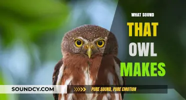 Unveiling the Mysterious Hoots: What Sound Does an Owl Make?