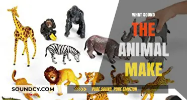 Exploring the Unique Sounds Animals Make in the Wild