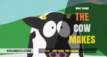 Mooing Mysteries: Decoding the Unique Sounds Cows Make and Why