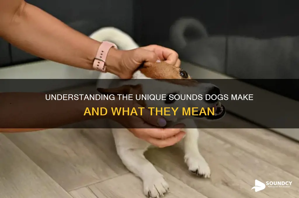 what sound the dog make