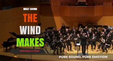 Whispers to Howls: Decoding the Wind's Ever-Changing Symphony