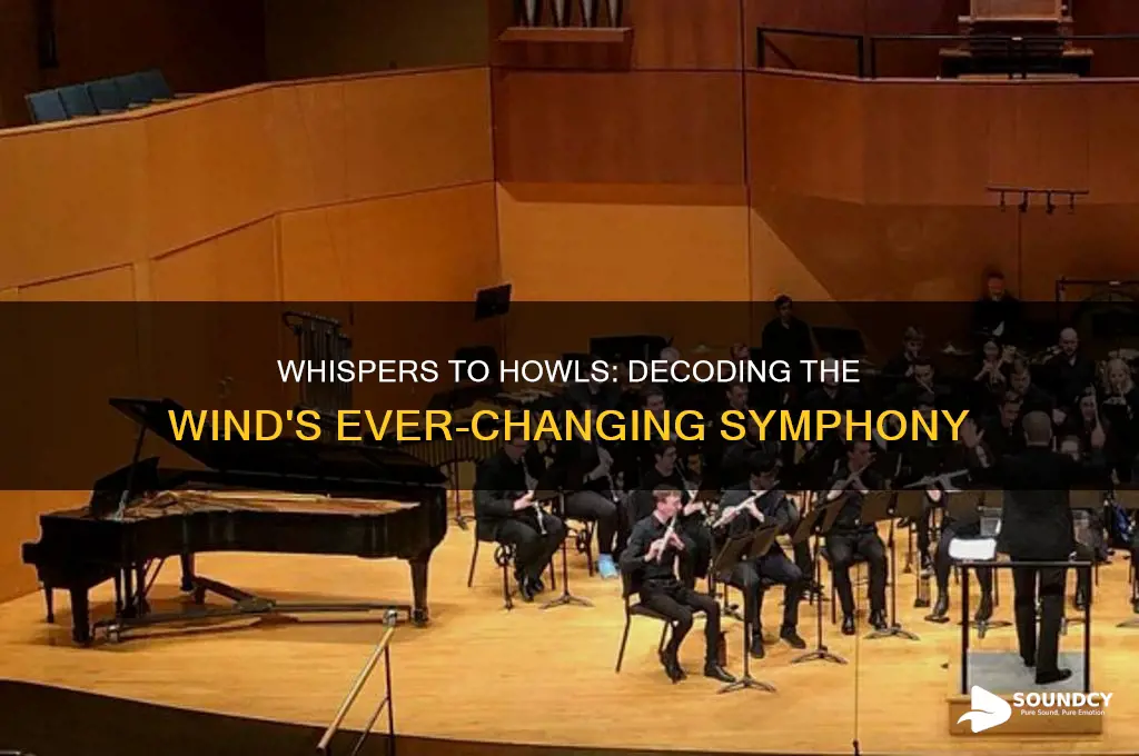 what sound the wind makes