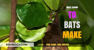Unveiling the Mysterious Sounds: What Noises Do Bats Actually Make?