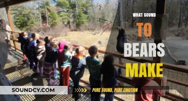 Unveiling the Unique Vocalizations: What Sounds Do Bears Actually Make?