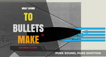 The Sonic Boom: Decoding the Unique Sounds Bullets Produce
