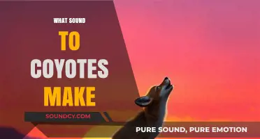 Unveiling the Mysterious Howls and Yips: What Sounds Do Coyotes Make?