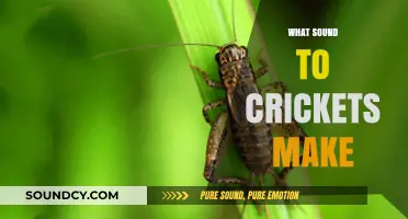 Unraveling the Mystery: What Sound Do Crickets Make and Why?