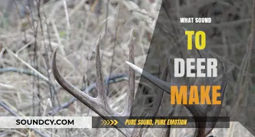 Unveiling the Unique Sounds: What Noises Do Deer Actually Make?
