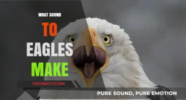 Unveiling the Majestic Calls: What Sounds Do Eagles Make?