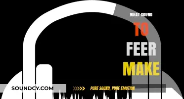 Unveiling the Mysterious Sounds: What Noise Do Feer Actually Make?