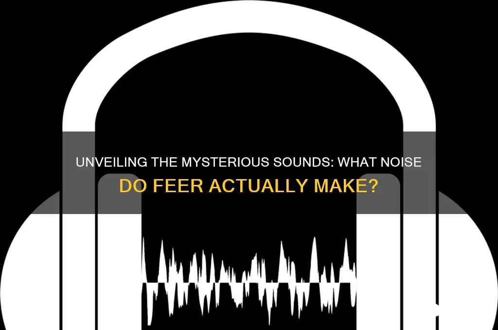 what sound to feer make