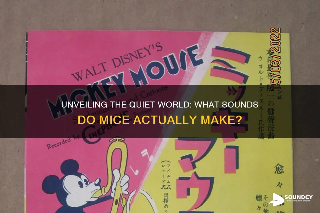 what sound to mice make