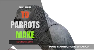Understanding Parrot Vocalizations: What Sounds Do Parrots Make?