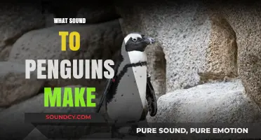 Discover the Unique Vocalizations: What Sounds Do Penguins Make?