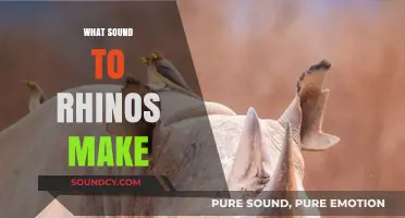 Unveiling the Unique Vocalizations: What Sounds Do Rhinos Make?