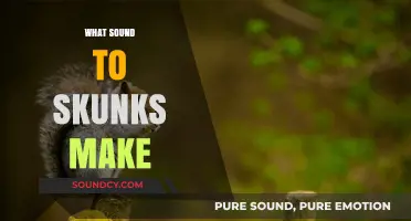 Unveiling the Surprising Sounds Skunks Make: A Comprehensive Guide