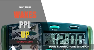 What Sound Wakes People Up? Discover the Alarming Truth
