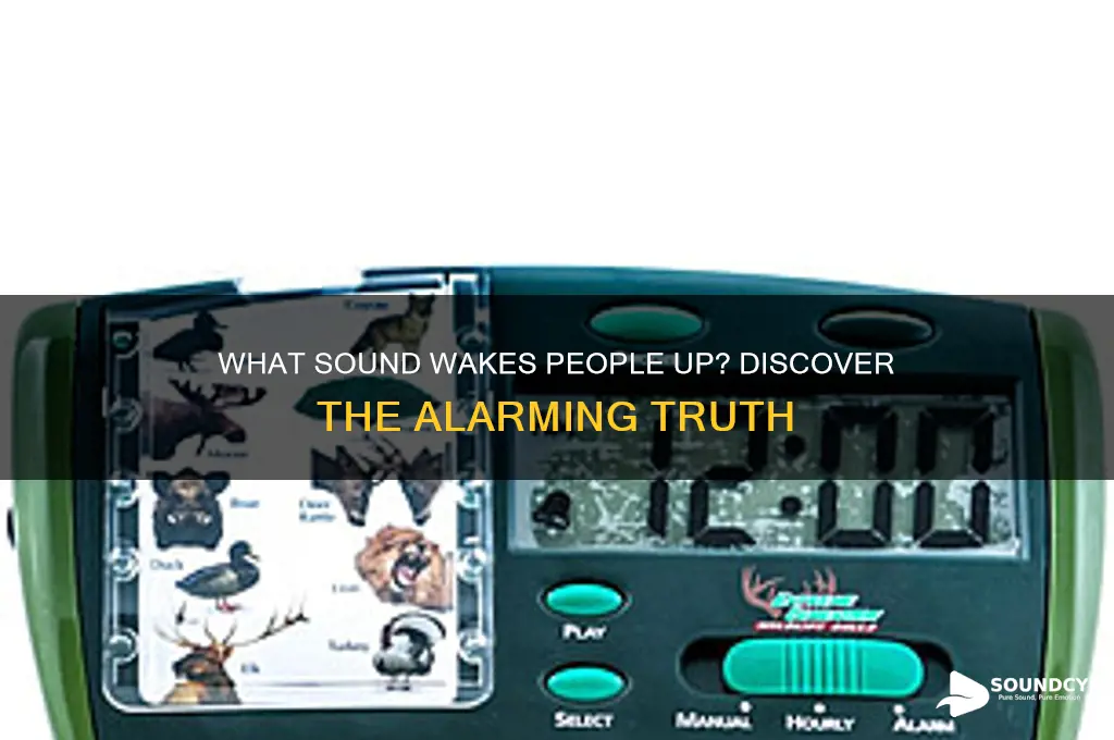 what sound wakes ppl up