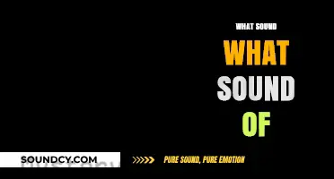 Unraveling the Mystery: What Sound Does 'What Sound' Actually Refer To?