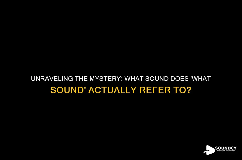 what sound what sound of