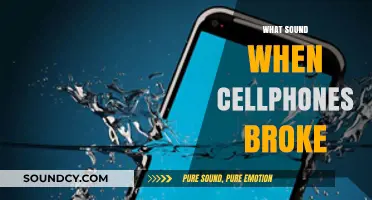 Cracks and Silence: The Unexpected Sounds of a Broken Cellphone
