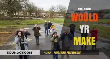 What Sound Would Yr Make? Exploring the Mystery of Yr's Noise