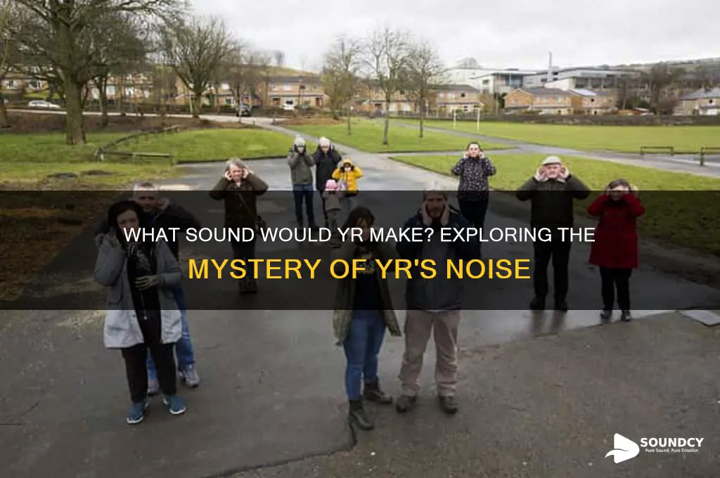 what sound would yr make