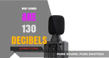 Exploring the Ear-Splitting Sounds That Reach 130 Decibels