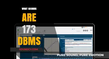 Unbelievably Loud: Exploring Sounds That Reach 173 Decibels