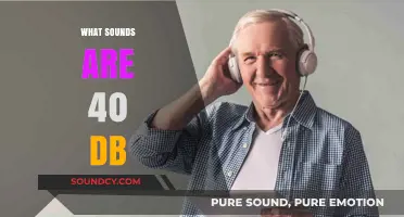 Understanding 40 dB: Everyday Sounds at This Quiet Noise Level