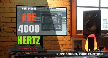 Exploring the High-Pitched World of 4000 Hertz Sounds