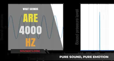 Exploring the High-Frequency World: What Sounds Are 4000 Hz?
