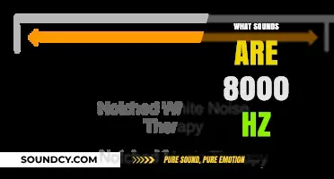Exploring the High-Frequency World: What Sounds Are 8000 Hz?