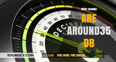 Exploring Everyday Sounds: What's Typically Around 35 dB?