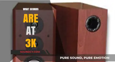 Exploring the Sonic Spectrum: Unveiling the Sounds at 3000 Hz