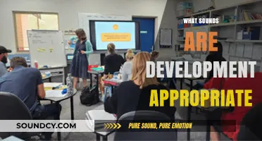 Developmentally Appropriate Sounds: Nurturing Early Childhood Auditory Skills