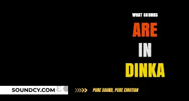 Exploring the Rich Phonetics and Unique Sounds of the Dinka Language