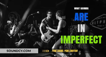 Exploring the Unique and Varied Sounds Within Imperfect Music