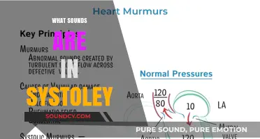 Understanding Systolic Sounds: A Comprehensive Guide to Heart Noises