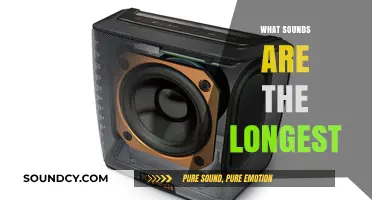 Exploring the World's Longest-Lasting Sounds: From Nature to Man-Made