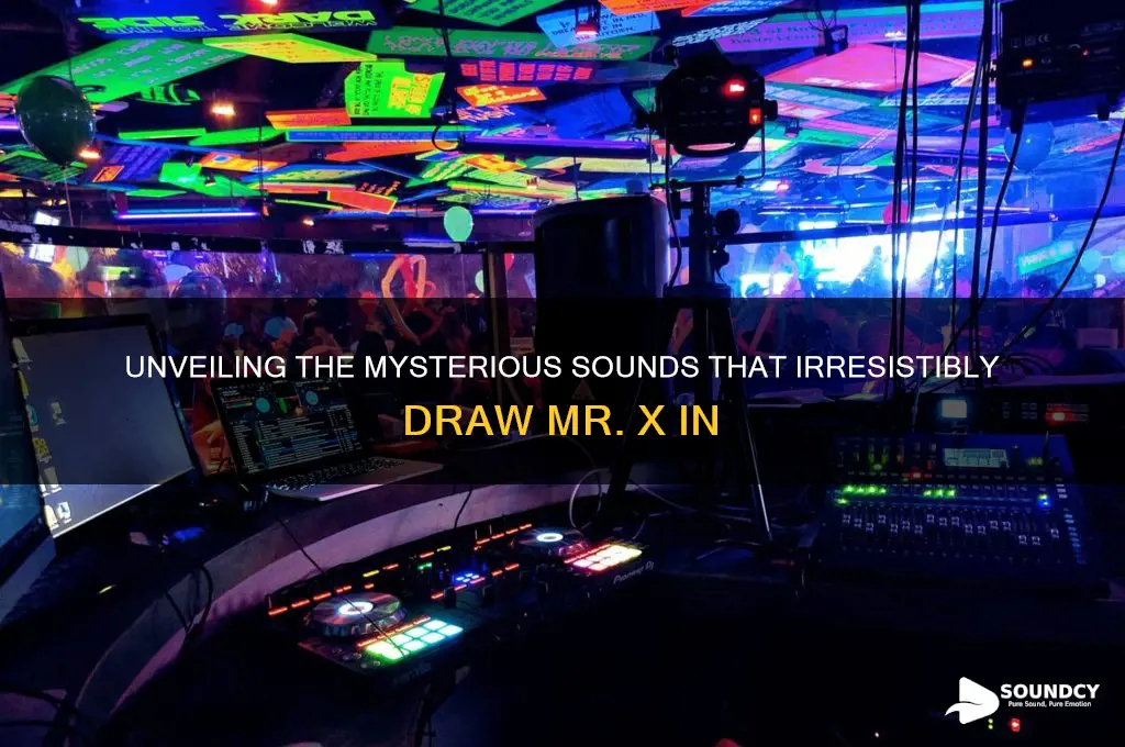what sounds attract mr x