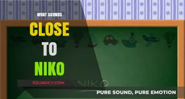 Names Like Niko: Exploring Similar-Sounding Monikers and Their Meanings
