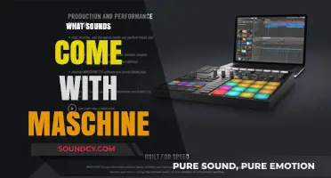 Exploring the Sonic Palette: What Sounds Come with Maschine?