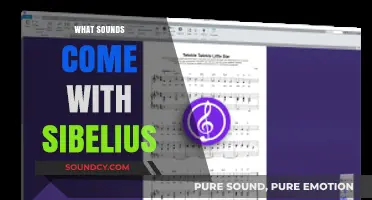 Exploring Sibelius: Unveiling the Rich Soundscape of This Powerful Music Notation Software