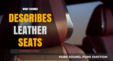 The Sensory Experience: Describing the Unique Sounds of Leather Seats