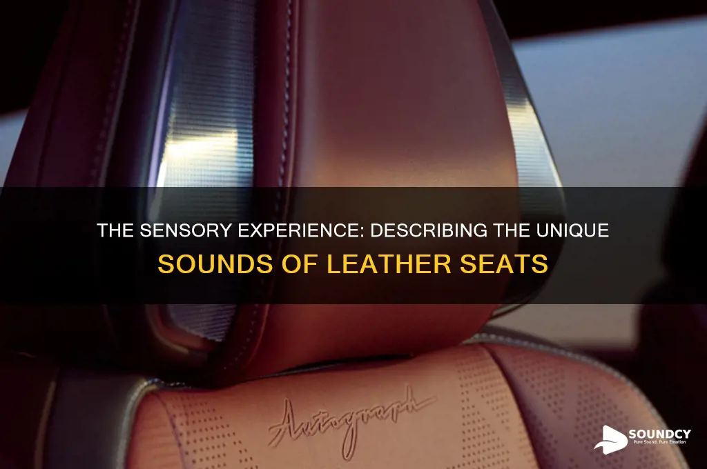 what sounds describes leather seats